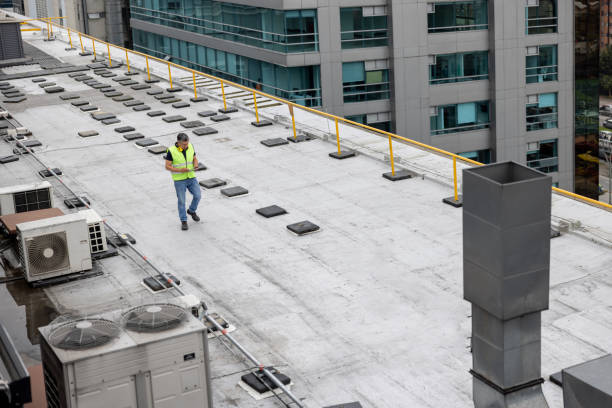 Best Solar Panel Roofing Installation  in Carlyle, IL