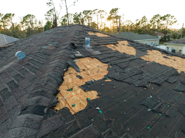Best Roof Insulation Installation  in Carlyle, IL